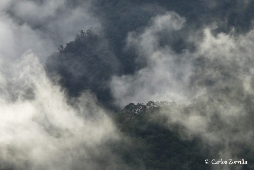The role BMW may play in creating a world-class environmental disaster in Ecuador