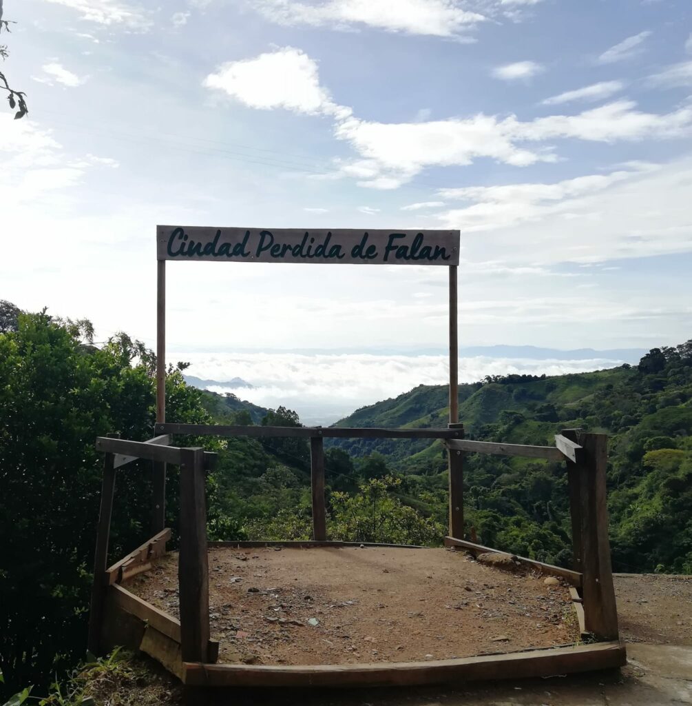 Murder of environmental defender in Colombia: we demand justice!